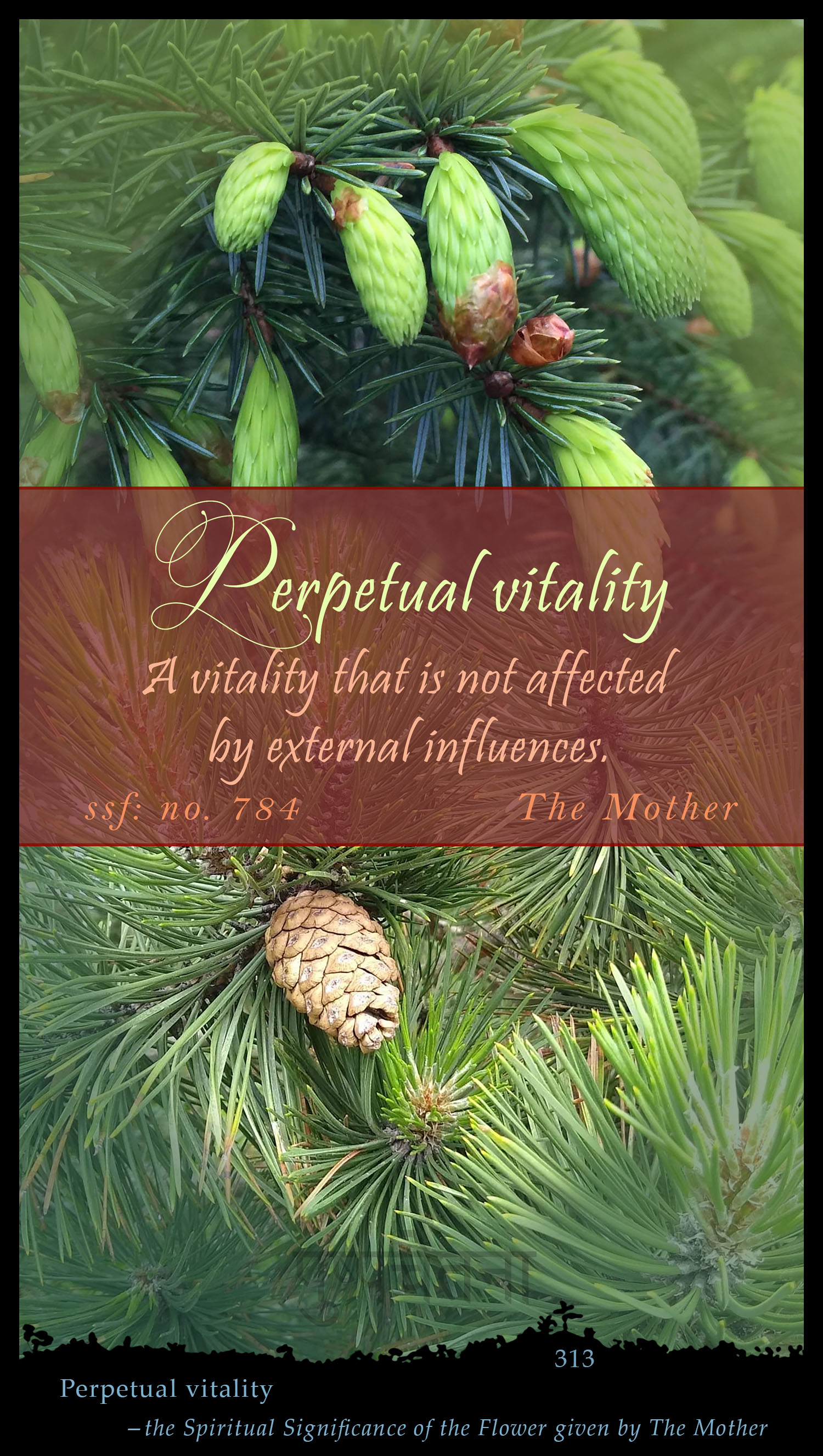 Perpetual Vitality